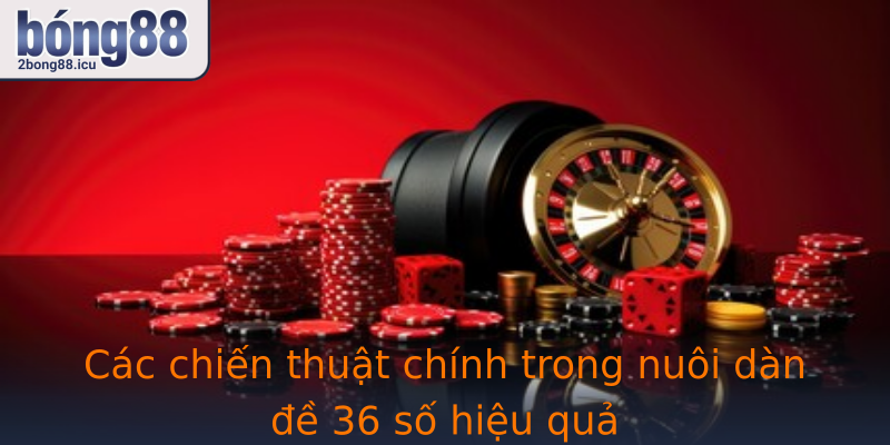 Các chiến thuật chính trong nuôi dàn đề 36 số hiệu quả
