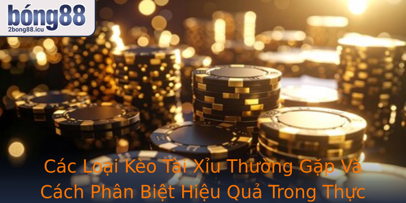 Cac Loai Strongkeo Tai Xiustrong Thuong Gap Va Cach Phan Biet Hieu Qua Trong Thuc Te